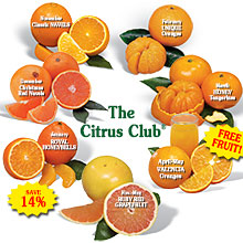 The Citrus Club